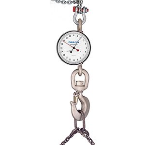 AP Crane Scales