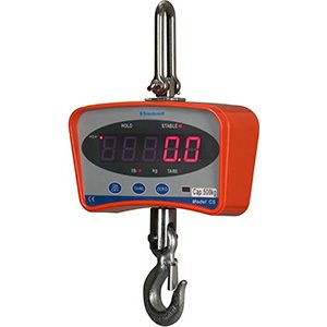 CS Series Crane